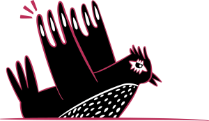 image Oiseau.png (0.1MB)